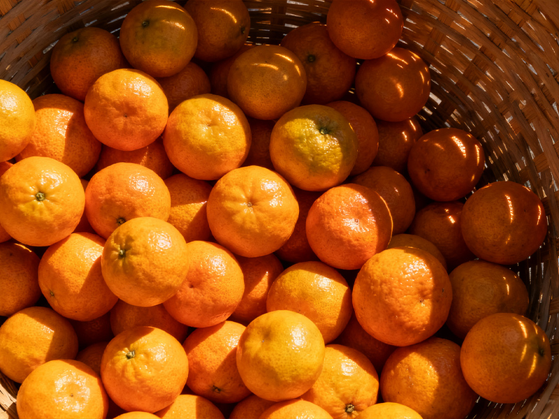 Citrus5