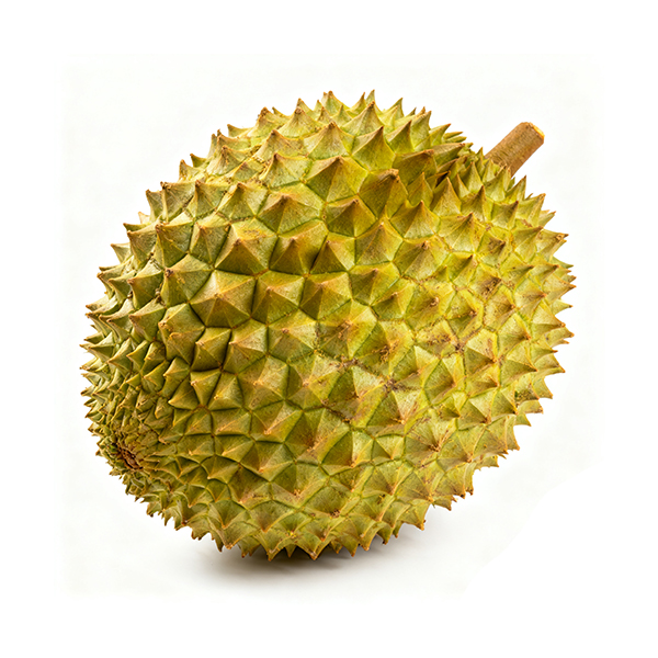 durian 7