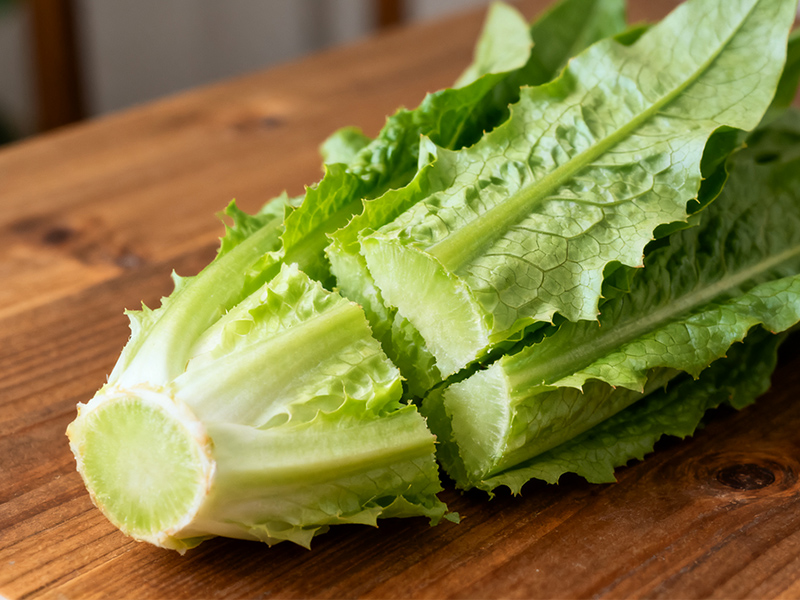 lettuce6