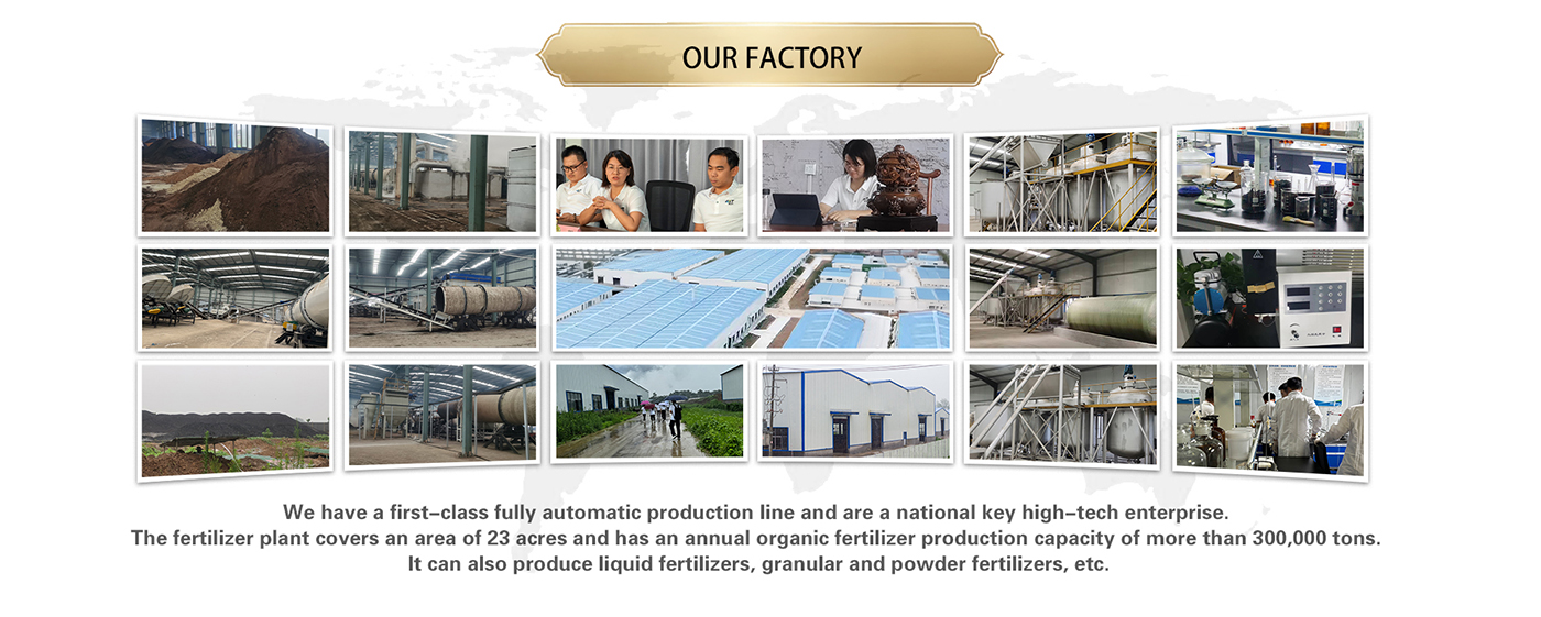 Our factory1400