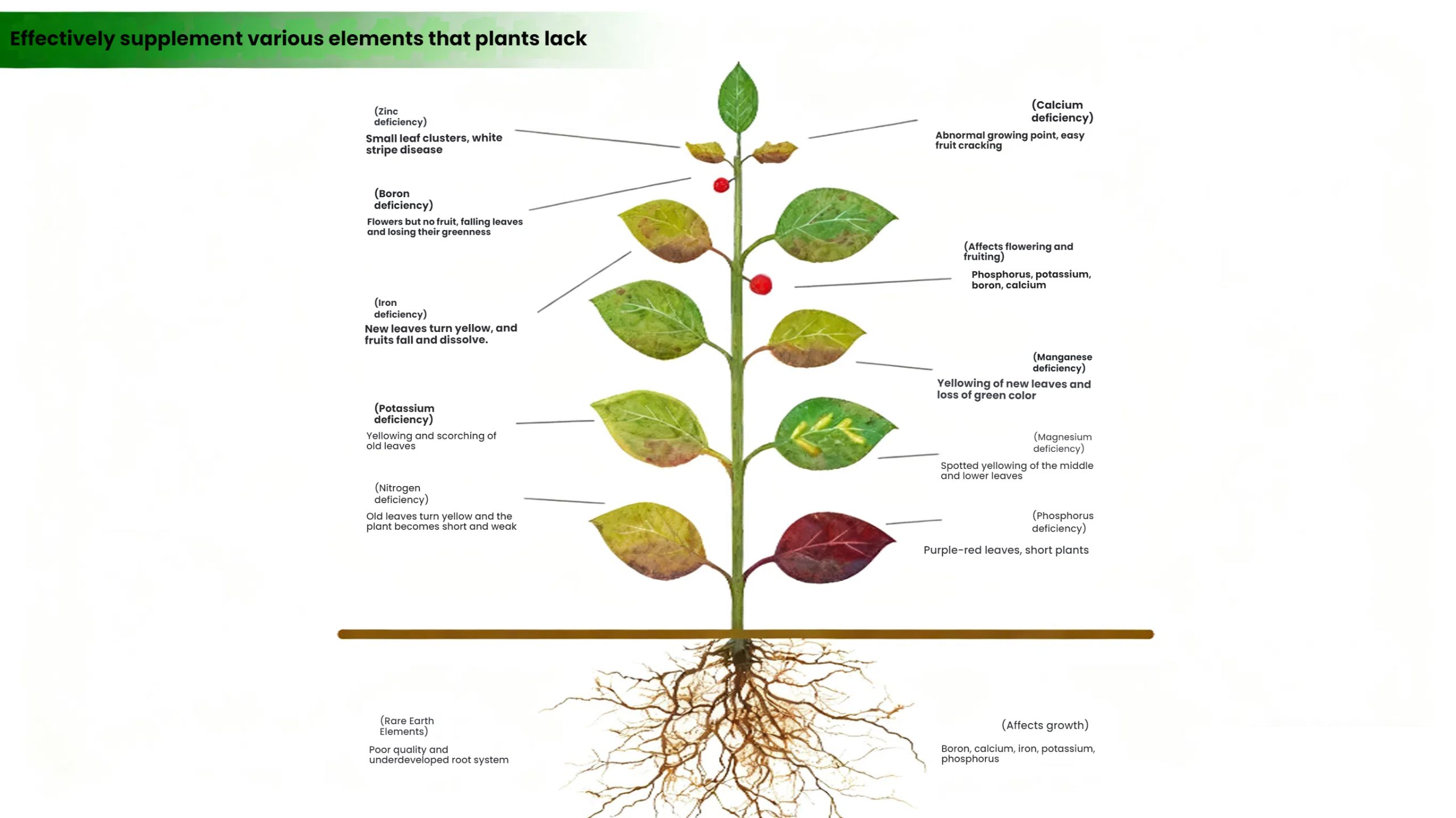 Effectively supplement various elements that plants lack