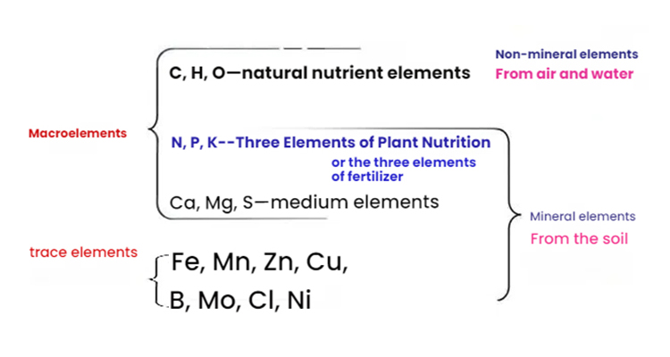 Various elements needed by plants