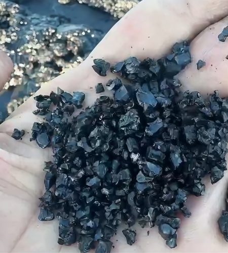 Potassium humate granules